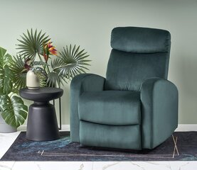 Кресло для гостиной Wonder, зеленый цвет цена и информация | Кресла для отдыха | hansapost.ee