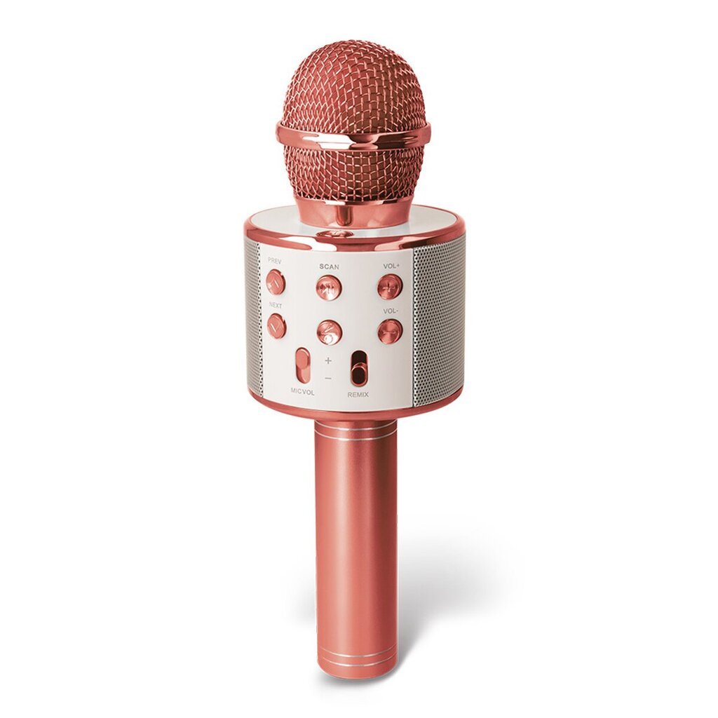 Forever BMS-300 цена и информация | Mikrofonid | hansapost.ee