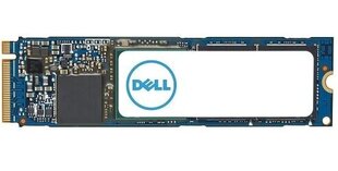 Dell AC037408 цена и информация | Внутренние жёсткие диски (HDD, SSD, Hybrid) | hansapost.ee