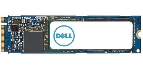 Dell AC037408 цена и информация | Sisemised kõvakettad | hansapost.ee