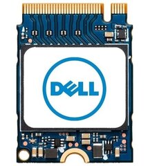Dell AC280178 цена и информация | Внутренние жёсткие диски (HDD, SSD, Hybrid) | hansapost.ee