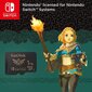 SanDisk MicroSDXC Zelda Edition 1TB Nintendo Switch/Lite цена и информация | Fotoaparaatide mälukaardid | hansapost.ee