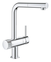 Filtriga veesegisti Grohe Blue Pure Minta Duo, 31721000 hind ja info | Grohe Köögivalamud, köögisegistid ja tarvikud | hansapost.ee