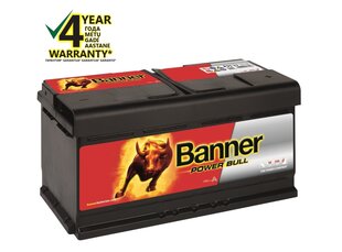 Banner Power Bull P9533​ цена и информация | Аккумуляторы | hansapost.ee