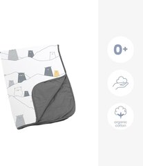 Одеяло Doomoo Dream Bear Grey, серое, 75 x 100 см цена и информация | Doomoo Товары для младенцев | hansapost.ee