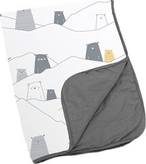 Одеяло Doomoo Dream Bear Grey, серое, 75 x 100 см цена и информация | Пеленальные доски и пеленки | hansapost.ee
