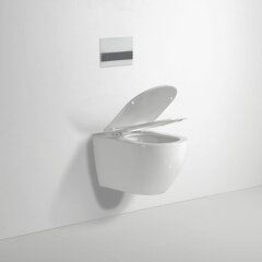 Royal Flush WC-pott Slim Soft Close kaanega The Dynamic Way 48 cm hind ja info | The Dynamic Way Remondikaubad, sanitaartehnika ja kütteseadmed | hansapost.ee