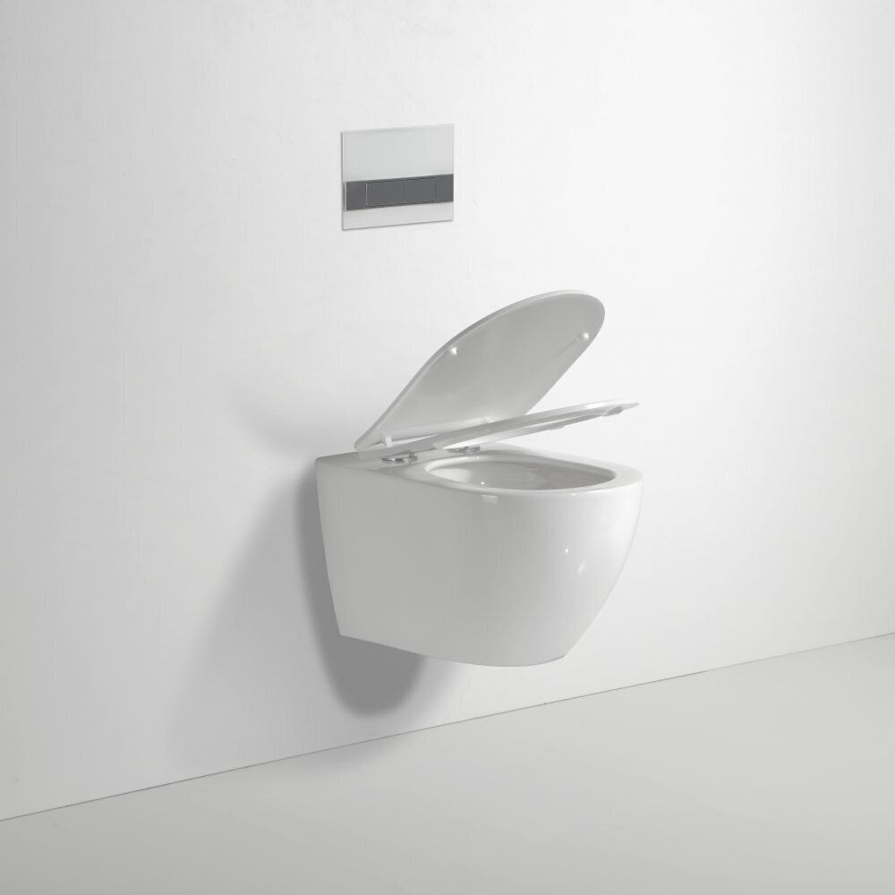 Royal Flush WC-pott Slim Soft Close kaanega The Dynamic Way 48 cm цена и информация | WС-potid | hansapost.ee