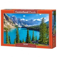 Пазл Castorland Moraine Lake, Канада, 500 деталей цена и информация | Пазлы | hansapost.ee