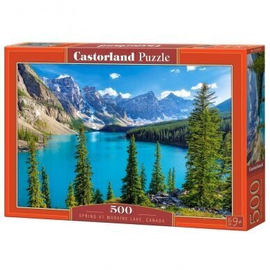 Pusle Castorland Moraine Lake, Canada 500 osa цена и информация | Pusled lastele ja täiskasvanutele | hansapost.ee