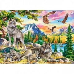 Pusle Castorland Wolf Family and Eagles 300 osa цена и информация | Пазлы | hansapost.ee