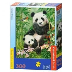 Пазл Castorland Panda Brunch 300 деталей цена и информация | Пазлы | hansapost.ee