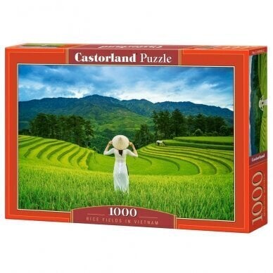 Pusle Castorland Rice Fields in Vietnam 1000 osa цена и информация | Pusled lastele ja täiskasvanutele | hansapost.ee