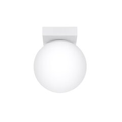 Sollux потолочный светильник Yoli 1 цена и информация | Потолочные светильники | hansapost.ee