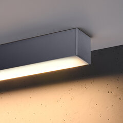 Sollux потолочный светильник Pinne 200 цена и информация | Потолочные светильники | hansapost.ee