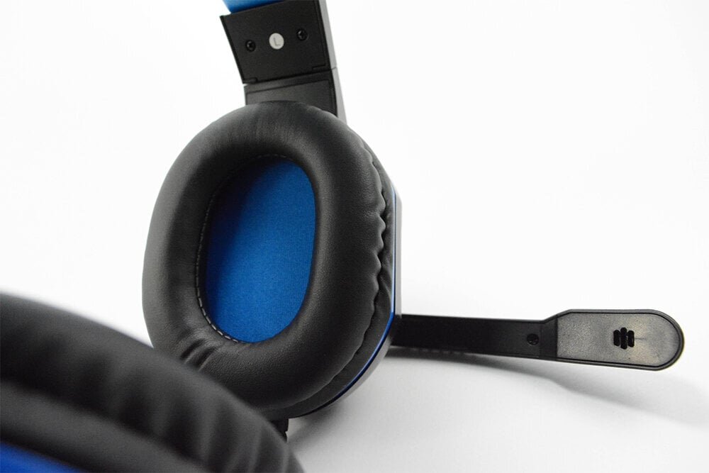 Steelplay Wired Stereo Headset Hp41 (Ps4/Xbox One/PC), Black & Blue hind ja info | Kõrvaklapid | hansapost.ee