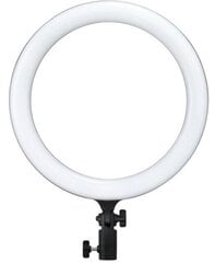 Godox LR150 цена и информация | Осветительное оборудование для фотосъемок | hansapost.ee