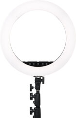 Beiwe Halo H18Rgb hind ja info | Fotovalgustid, ringvalgustid ja fotostuudiod | hansapost.ee