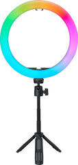 Beiwe Halo H10Rgb hind ja info | Beiwe Fotoaparaadid, objektiivid ja lisatarvikud | hansapost.ee