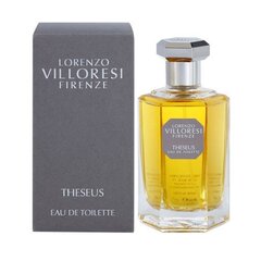 Lorenzo Villoresi Theseus EDT 100ml цена и информация | Женские духи | hansapost.ee