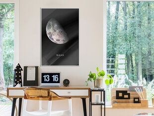 Плакат The Solar System: Moon цена и информация | Картины, живопись | hansapost.ee