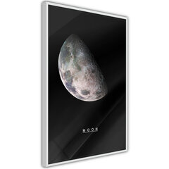 Плакат The Solar System: Moon цена и информация | Картины, живопись | hansapost.ee