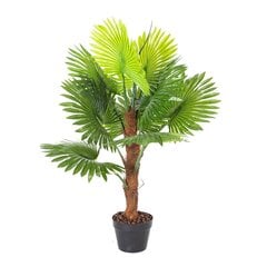 Зеленое растение FAN PALM, H100cm цена и информация | Искусственные цветы | hansapost.ee