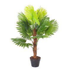 Kunsttaim Fan Palm, 100cm hind ja info | Kunstlilled | hansapost.ee