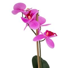 Фиолетовая орхидея с 1 веткой IN GARDEN, H46см, черный горшок цена и информация | Искусственные цветы | hansapost.ee