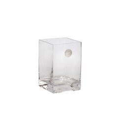 Vaas IN HOME 10x10xH15cm, läbipaistev klaas hind ja info | Vaasid | hansapost.ee