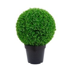 Зеленое растение BOXWOOD, H60см, черный горшок цена и информация | Искусственные цветы | hansapost.ee