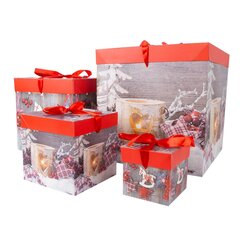 Kinkekarp Xmas Gift-1 hind ja info | Jõulukaunistused | hansapost.ee