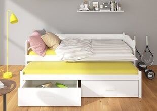 Lastevoodi Adrk Furniture Tiarro, 90x200 cm, hall/pruun цена и информация | Детские кровати | hansapost.ee