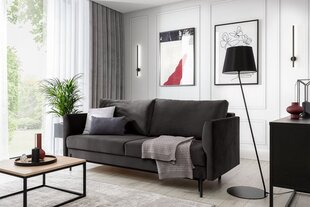 Diivan Revi, hall price and information | Sofa beds and sofas | hansapost.ee