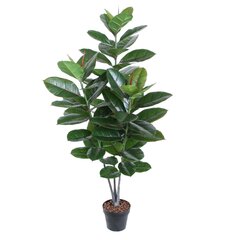 Kunstpuu RUBBER PLANT, H130cm, 3 tüvega, must pott price and information | Kunstlilled | hansapost.ee