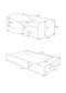 Lastevoodi ADRK Furniture Ximena Cat 80x160 cm, valge hind ja info | Lastevoodid | hansapost.ee
