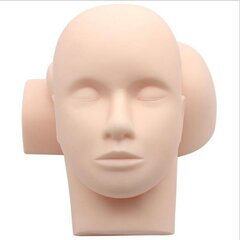 Учебный макет головы человека цена и информация | Кисти для макияжа, спонжи | hansapost.ee