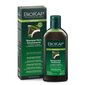 Detox puhastav šampoon, 200 ml цена и информация | Šampoonid | hansapost.ee