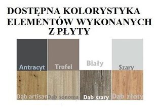 Кровать двухъярусная ADRK Furniture Etapo 90x200 см, серый/коричневый цвет цена и информация | Детские кровати | hansapost.ee