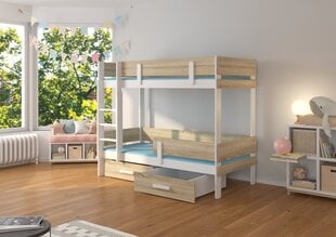 Кровать двухъярусная ADRK Furniture Etiona 90x200 см, белый/коричневый цвет цена и информация | Детские кровати | hansapost.ee