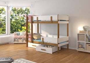 Двухъярусная кровать ADRK Furniture Etiona 80x180 см, белый цвет/коричневый цвет цена и информация | Детские кровати | hansapost.ee