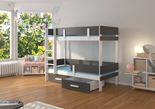 Кровать двухъярусная Adrk Furniture Etiona с матрасом, 80х180 см, белый/черный цвет цена и информация | Детские кровати | hansapost.ee