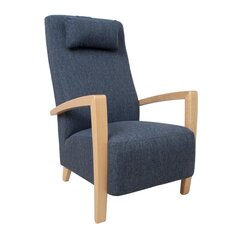 Tugitool Venla, sinine price and information | Armchairs | hansapost.ee