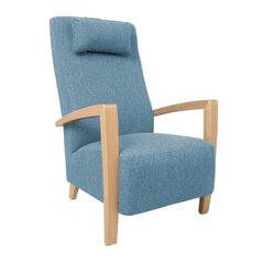 Tugitool Venla, helesinine price and information | Armchairs | hansapost.ee