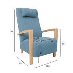 Tugitool Venla, helesinine price and information | Armchairs | hansapost.ee