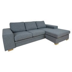 Угловой диван DAGMAR серый цена и информация | Угловые диваны | hansapost.ee