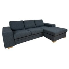 Угловой диван DAGMAR темно-серый цена и информация | Угловые диваны | hansapost.ee