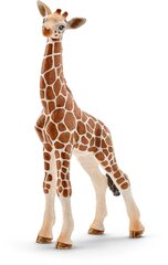 Фигурка Детеныш жирафа Schleich цена и информация | Игрушки для мальчиков | hansapost.ee