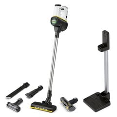 Karcher VC 6 Cordless ourFamily Extra 1.198-674.0 hind ja info | Varstolmuimejad | hansapost.ee