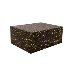 Kinkekarp kaanega Diana-10, 19x13xH8cm цена и информация | Подарочные упаковки | hansapost.ee